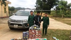 Bắt giữ đối tượng vận chuyển hàng trăm kg pháo lậu và động vật hoang dã