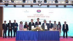Ứng dụng “Trợ lý bác sĩ” sử dụng trí tuệ nhân tạo đầu tiên tại Việt Nam