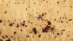 “Tỏa 3” – Cuộc thử nghiệm táo bạo của nghệ thuật đương đại