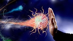 5 loại nước ép tăng cường hệ thống miễn dịch khi bị ốm