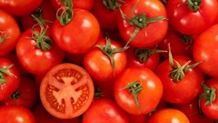 5 sai lầm khi ăn cà chua cực kì tai hại nhiều người mắc phải