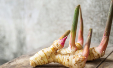 Lợi ích bất ngờ của loại gia vị phổ biến này