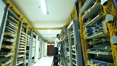 Sự cố trên tuyến cáp biển AAG được xử lý trước Tết Nguyên đán