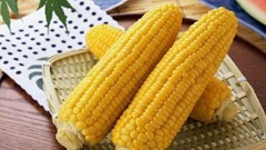 Khám phá những lợi ích cho sức khỏe từ bắp ngô