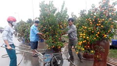 Tấp nập mua sắm "thú chơi" ngày Tết trên con đường đẹp nhất Thủ đô