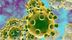 Cập nhật dịch virus corona ngày 1.2: Đã có 11.972 người mắc