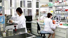 Xuyên Tết, trắng đêm để nuôi cấy và phân lập thành công virus corona mới