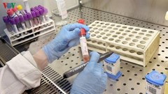 Việt Nam nghiên cứu thử nghiệm thuốc điều trị virus corona