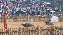 Thay đổi thói quen, lối sống từ dịch Covid-19