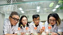 Bức tranh đa chiều qua Chuyện ngày xám...