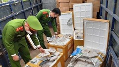 Nghệ An bắt giữ 25 tấn hải sản không rõ nguồn gốc
