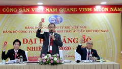 Đảng bộ Công ty Cổ phần Phân phối Khí thấp áp Dầu khí Việt Nam: Không ngừng ổn định và phát triển