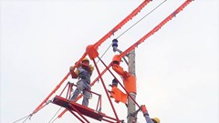 PC Khánh Hòa: Áp dụng giải pháp thi công, sửa chữa hotline 22kV bằng bệ đỡ cách điện Platform