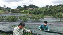 Các doanh nghiệp sản xuất lao đao vì dịch bệnh