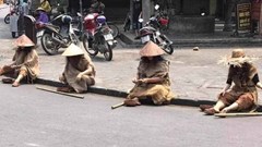 Nhóm đóng giả “hành khất” ở Hội An gửi thư xin lỗi