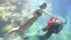 Buồn vui nghề… “tiên cá”!