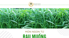 Hai món ngon trong chuỗi " Rau muống 10 món"
