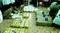 Triệt xóa đường dây vận chuyển hơn 3 tạ ma túy đá