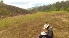 Lên cao, “chạm sóng” học online