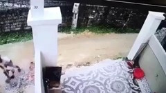 Tạm giữ tài xế lùi xe cán chết, giấu xác một cháu bé trai tại hố rác