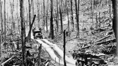 Trường Sơn - Bản anh hùng ca chống Mỹ