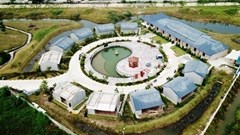 Hải Phòng:​​​​​​​ Tháo dỡ công trình xây dựng trái phép tại KCN An Dương