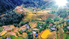 Đi Sa Pa chưa bao giờ đẹp và rẻ như thế!