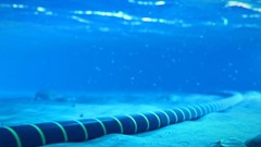 Sau AAG, thêm một tuyến cáp quang gặp sự cố ảnh hưởng đến Internet