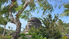 Hành trình kiến tạo những điểm đến xanh