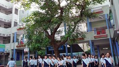 Sở GD&ĐT TP.HCM có công văn khẩn về phòng chống tai nạn thương tích trong trường học