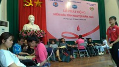 Tuổi trẻ Bộ VHTTDL hiến máu tình nguyện