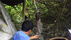 Diễn biến bệnh SXH rất khó lường