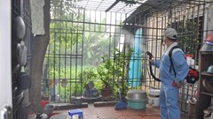 Sốt xuất huyết tăng nhanh ở 12 tỉnh, thành