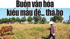 Không có chuyện cứ nhận trách nhiệm cho xong