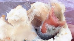 Đà Nẵng: Một cơ sở bị phạt hơn 27 triệu đồng vì bán bánh mì mốc