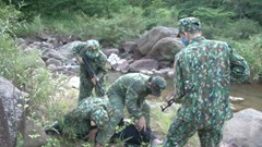 Tóm gọn một người nước ngoài vận chuyển 8.000 viên ma túy vào Việt Nam