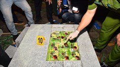 Giấu 40 kg ma túy trong khối đá granit để chuyển sang Hàn Quốc