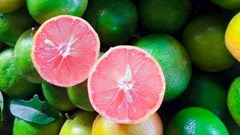 Thực phẩm giúp tăng cường sức đề kháng phòng ngừa dịch bệnh
