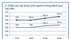 Vì sao trẻ em Việt mãi thấp còi?