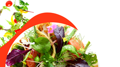 Lễ hội Ẩm thực Singapore 2020 diễn ra trực tuyến