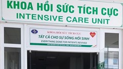 Bệnh nhân nặng giao pizza tại Hà Nội đã khỏi bệnh