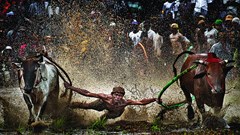 Những hình ảnh sinh động về đất nước, con người ASEAN