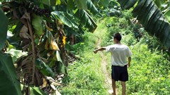 Hà Nội: Đã bắt được đối tượng hiếp dâm bé gái 12 tuổi