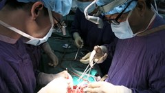 4 gia đình có bệnh nhân chết não tình nguyện hiến tạng cứu người