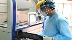 Hải Phòng:​​​​​​​ Triển khai phòng chống dịch đối với ca người Nhật Bản nghi mắc Covid-19