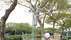 Mưa lớn, Đà Nẵng cho học sinh nghỉ học