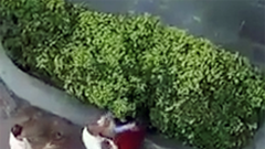 Xác minh thông tin người đàn ông ôm con nhỏ đánh đập phụ nữ