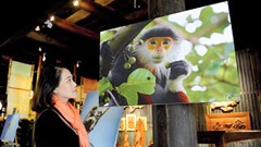 Triển lãm ảnh voọc chà vá chân nâu