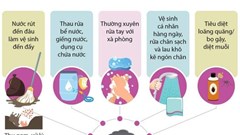 Đề phòng dịch bệnh trong và sau mùa bão lụt