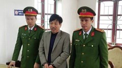 Một giám đốc bị khởi tố vì phá hơn 41 ha rừng tự nhiên